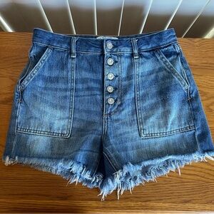Free People We the Free Jesse Carpenter Denim Jean Shorts Size 27